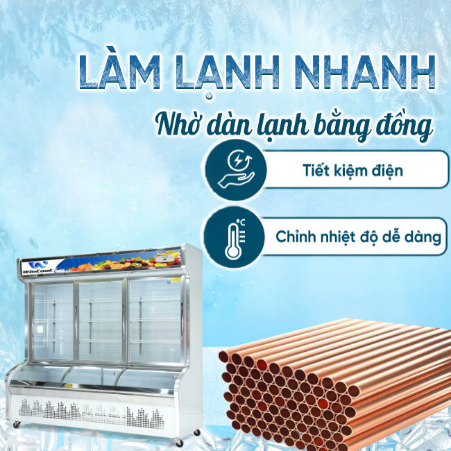 Đặc điểm nổi bật