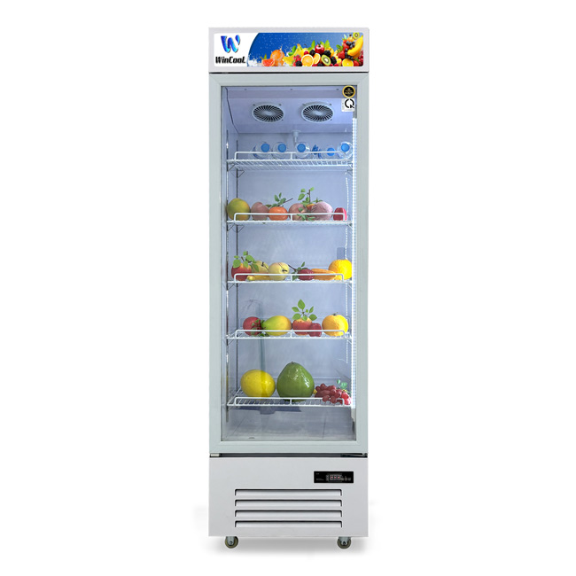Tủ mát 1 cánh W-LC-338W 338L