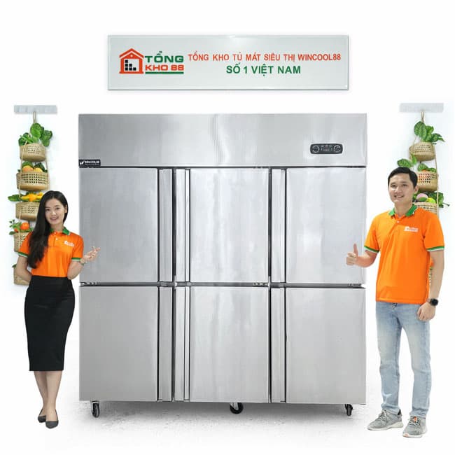 Tủ đông đứng 6 cánh WC-6CBO