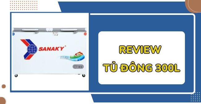 Review: TOP 7 mẫu tủ đông 300l giá rẻ, tốt nhất