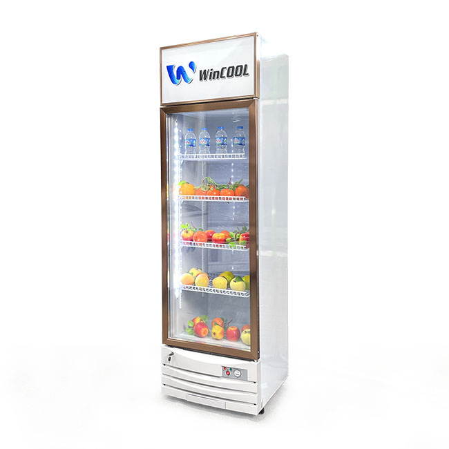 Tủ mát Wincool 1 cánh 240 lít