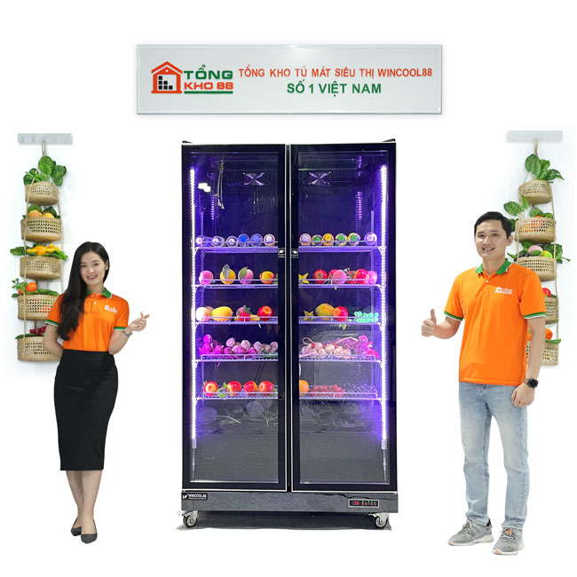 Tủ mát 2 cánh Wincool hiện đại, sang trọng