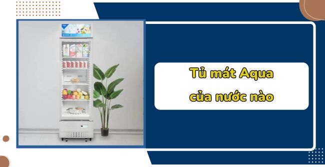 Giải đáp: Tủ mát Aqua của nước nào? Dùng có tốt không?