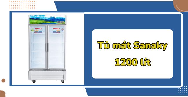 Review Tủ mát Sanaky 1200 lít 2 cánh có đáng mua không