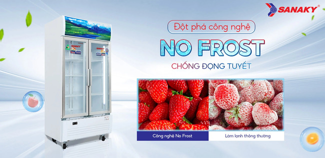 Công nghệ No-frost chống đọng tuyết