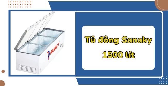 Tủ đông Sanaky 1500 lít