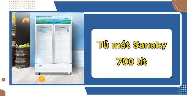 Review Tủ mát Sanaky 700 lít dàn lạnh bằng đồng, tiết kiệm điện