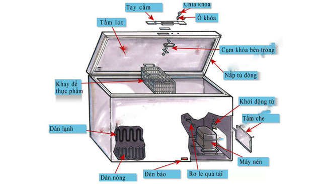 Cấu tạo cơ bản tủ đông