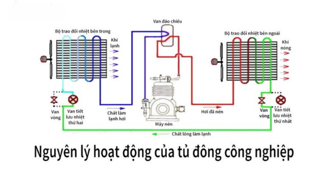 Nguyên lý hoạt động của tủ đông