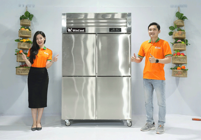 Tủ đông 4 cánh W-4CBO 1038L 2 chế độ