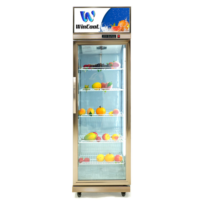 Tủ mát 1 cánh W-1C1CDGM 458l