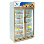 Tủ mát 2 cánh W-2C1CDGM 920l