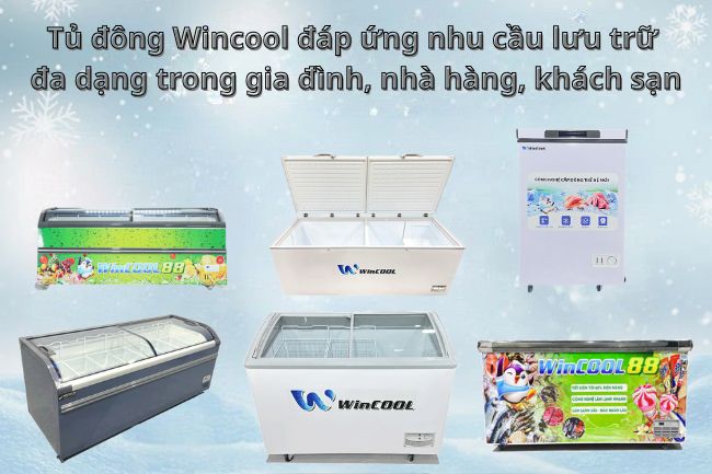 Tủ đông Wincool thiết kế đa dạng, nhiều dung tích phù hợp với gia đình, nhà hàng