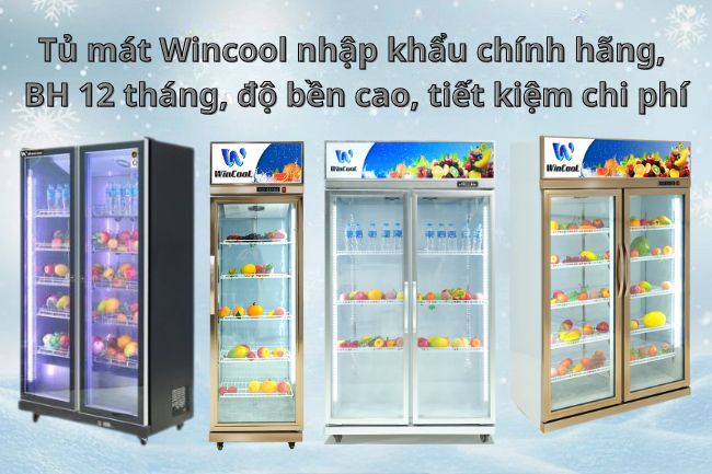 Tủ mát Wincool nhập khẩu chính hãng, bảo hành dài lâu