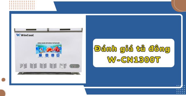 Đánh giá tủ đông W-CN1300T