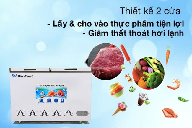 Thiết kế tủ đông W-CN1300T