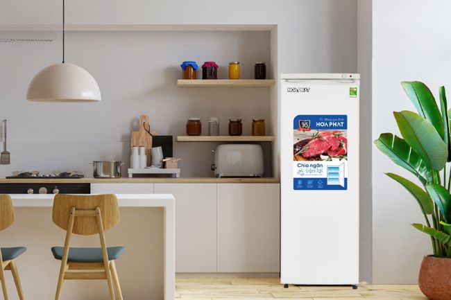 Tủ đông đứng 200 lít phù hợp sử dụng cho hộ gia đình