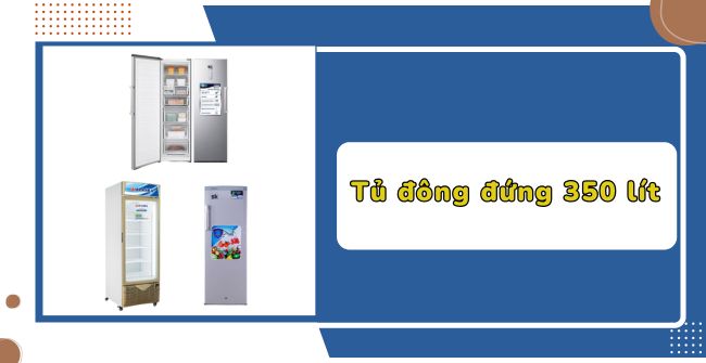 Tủ đông đứng 350 lít