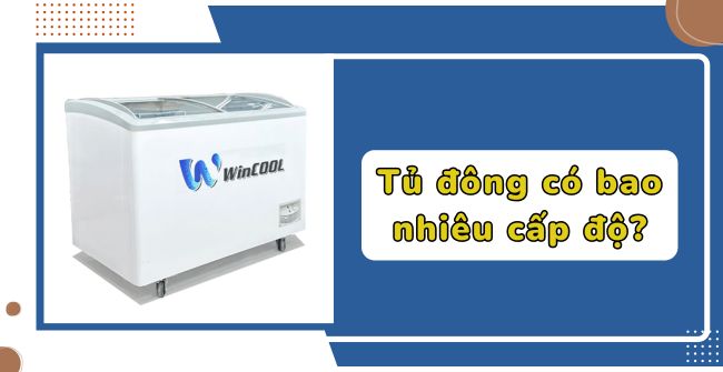 Tủ đông có bao nhiêu cấp độ