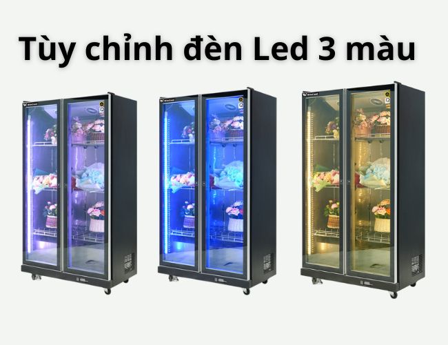 Đèn Led chiếu sáng 3 màu đẹp mắt, ấn tượng