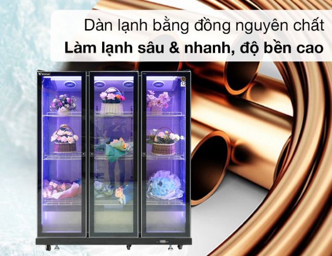 Công nghệ làm lạnh tiên tiến, giúp hoa tươi lâu hơn