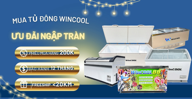 Khuyến mãi tủ đông Wincool