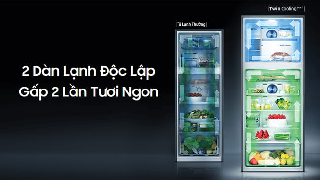 Nguyên lý hoạt động