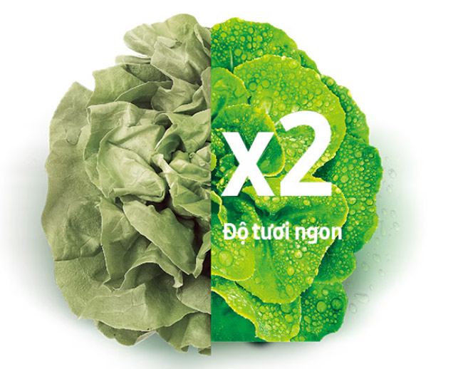 Bảo quản thực phẩm luôn tươi ngon