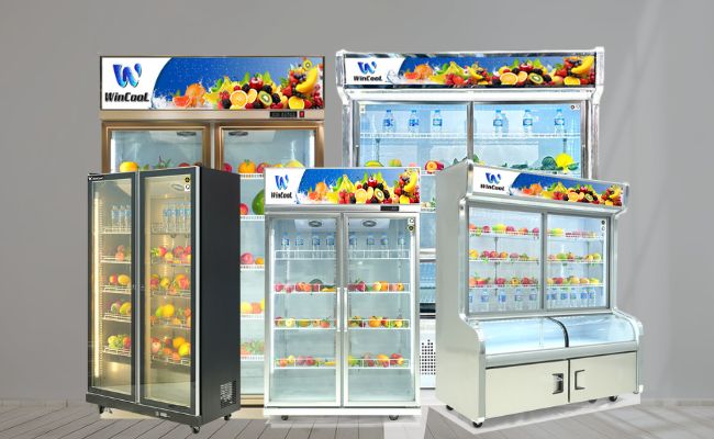 Tủ mát 2 cánh
