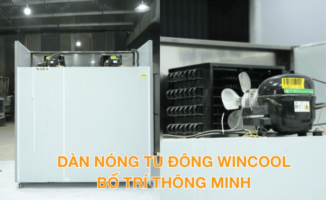 Hệ thống dàn nóng tủ đông WinCool