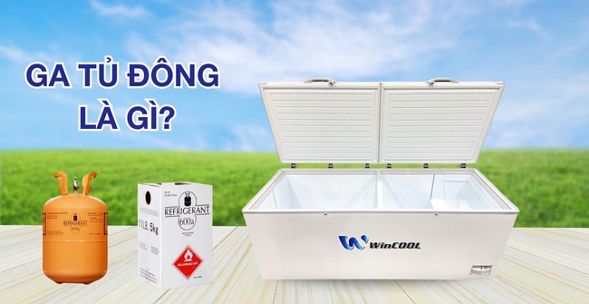 Ga tủ đông là gì? 3+ loại ga được sử dụng phổ biến nhất