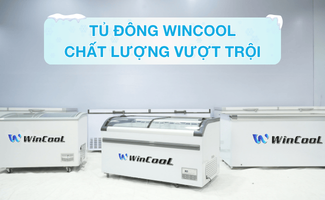 Tủ đông WinCool chất lượng, hoạt động ổn định