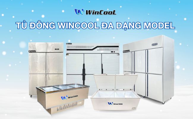 Lựa chọn mua tủ đông tại WinCool