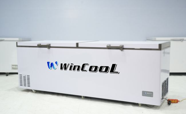 Tủ đông loại nào tốt và bền đẹp?