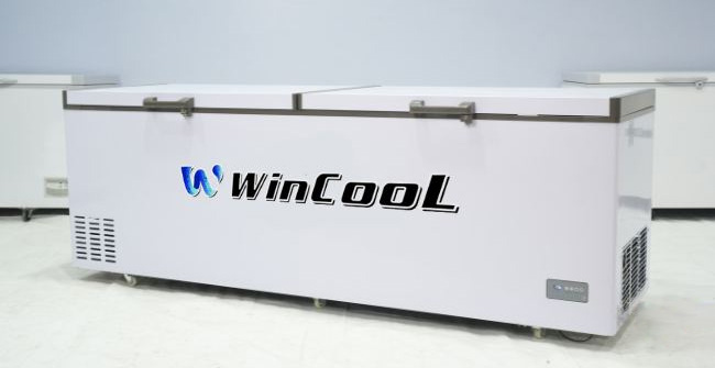 Tủ đông loại nào tốt nhất? TOP 5+ lựa chọn dẫn đầu thị trường!