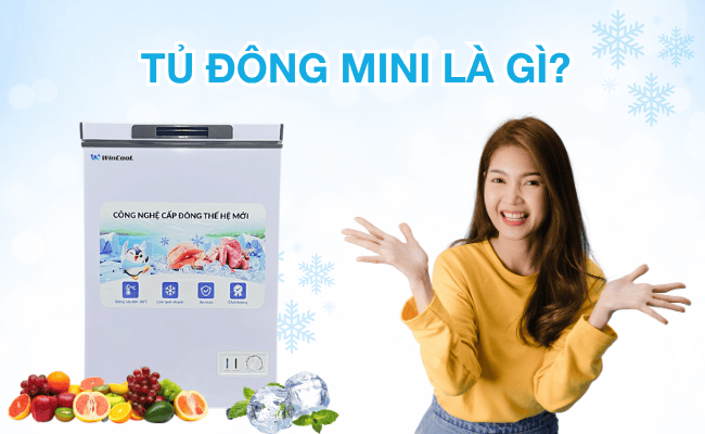 Tủ đông mini là gì? 