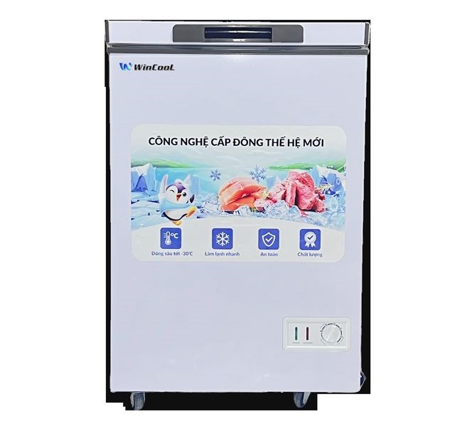 Tủ đông Wincool W-CN560T 