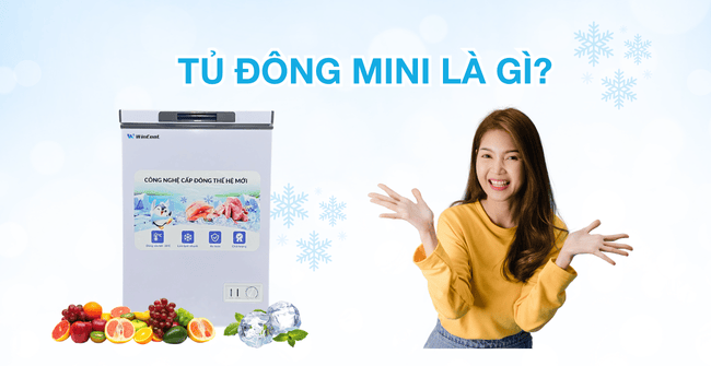 Tủ đông mini là gì? Hướng dẫn chọn mua và những lưu ý khi sử dụng