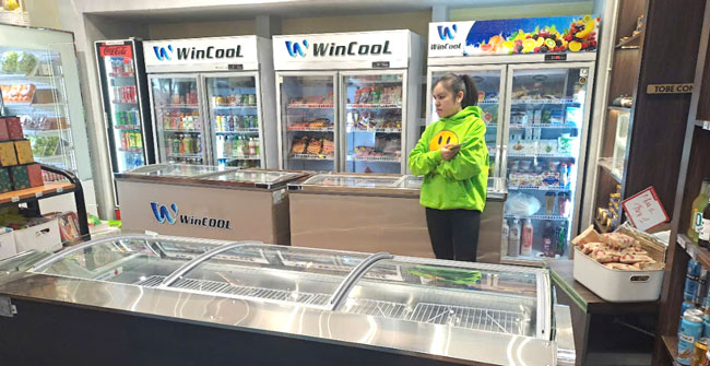 TOP 6+ tủ mát phù hợp hè 2025 đừng bỏ lỡ tại Wincool