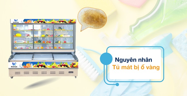 Vì sao tủ mát hay ố vàng?