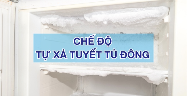 Chế độ tự xả tuyết tủ đông