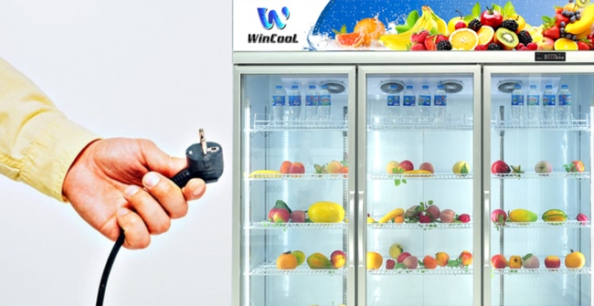 Có nên ngắt điện tủ mát không? Lợi ích và Thiệt hại ra sao?