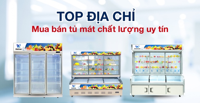 5+ địa chỉ mua tủ mát Chất lượng, Uy tín, Giá hời nhất hiện nay