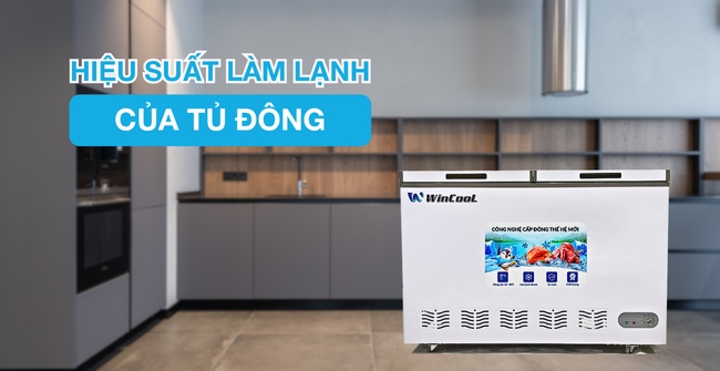Hiệu suất làm lạnh của tủ đông