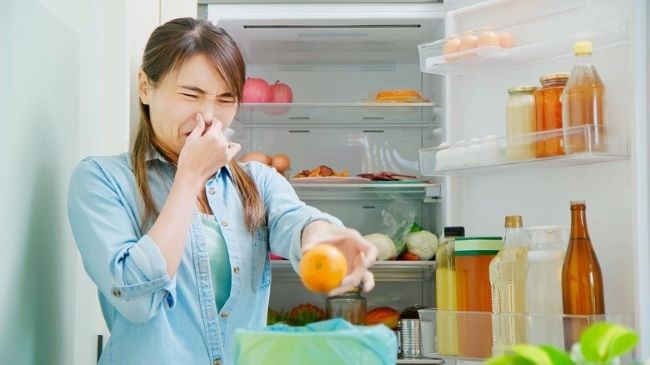 10+ cách khử mùi cho tủ mát cực hiệu quả nên áp dụng ngay