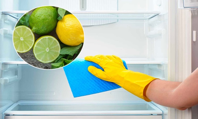Cần vệ sinh tủ thường xuyên hàng tháng