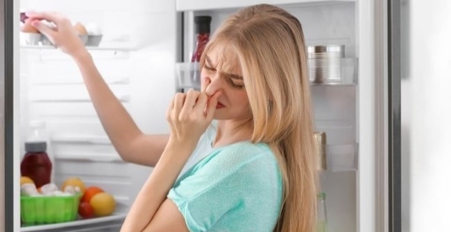 Tại sao tủ đông có mùi hôi và Cách xử lý mùi nhanh, hiệu quả