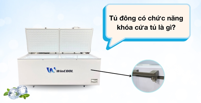 Tủ đông có chức năng khóa cửa tủ