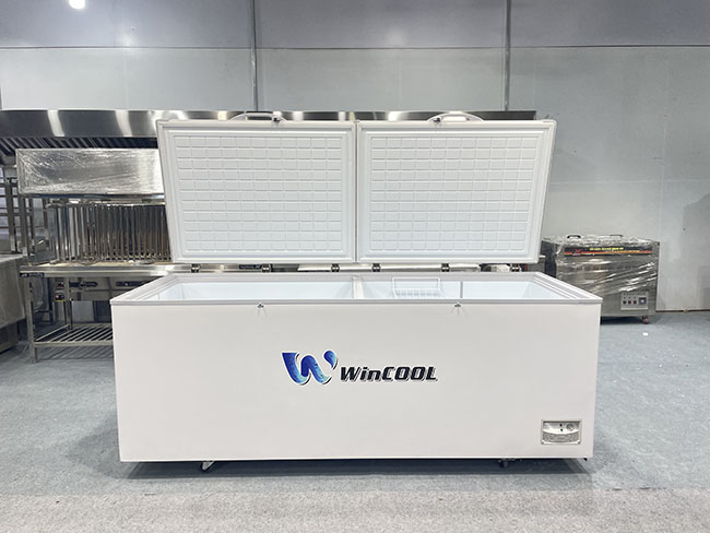 Tủ đông WinCool