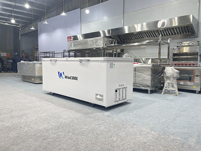 Tủ đông trắng 2 cánh W-CN2600T 928l